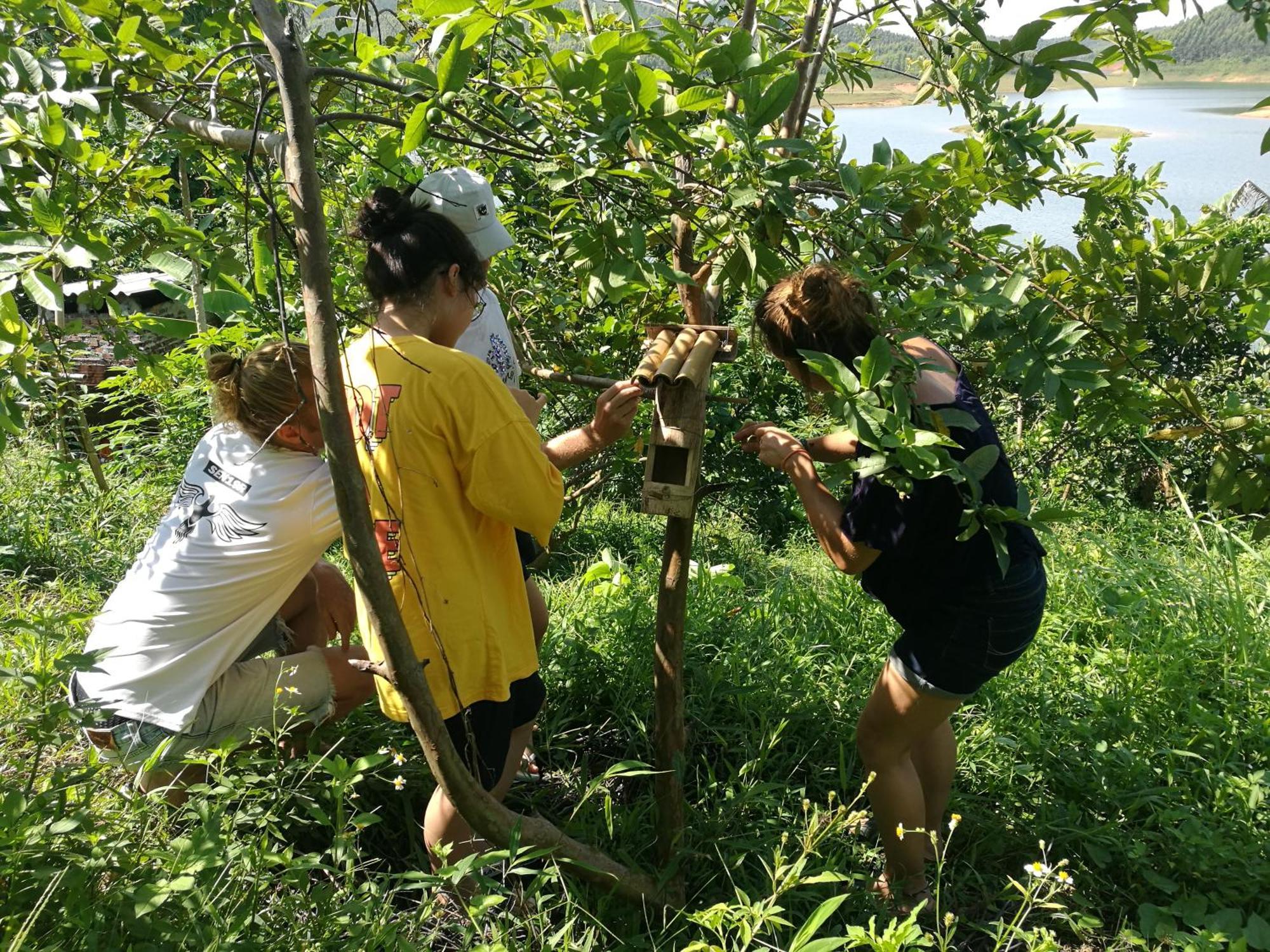 Lavievulinh Ecolodge Vũ Linh エクステリア 写真